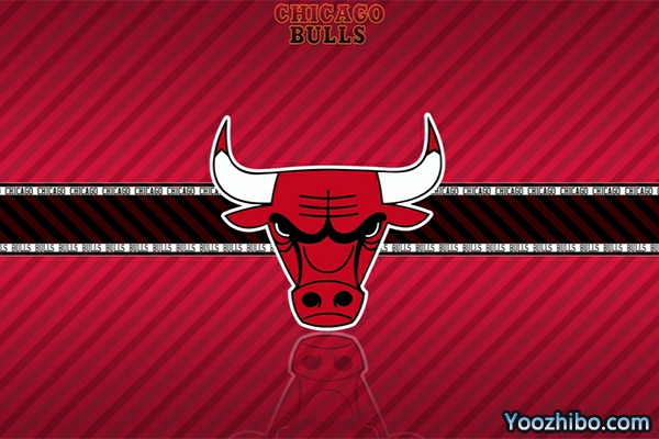 <a href=/lanqiupindao/bulls/ target=_blank class=infotextkey>公牛</a>队
